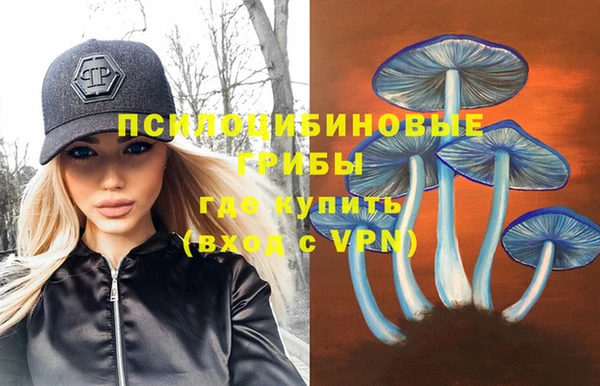 стаф Вяземский