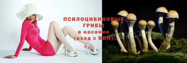 эйфоретик Волоколамск