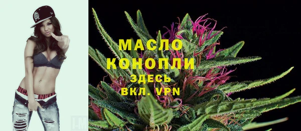 стаф Вяземский