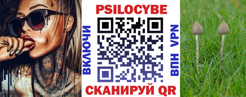 даркнет сайт Инсар Галлюциногенные грибы прущие грибы